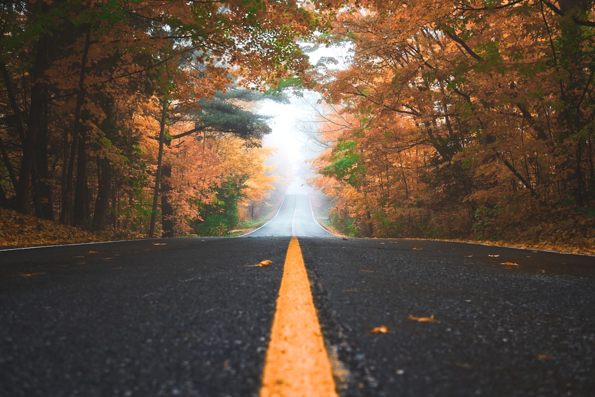A low-angle view down an empty two-lane road disappearing into misty autumn foliage, orange and yellow leaves on the trees and scattered on the tarmac, no identifiable people and no readable brand or logo, for the piece on autumn shoulder-season being the real airfare discount window