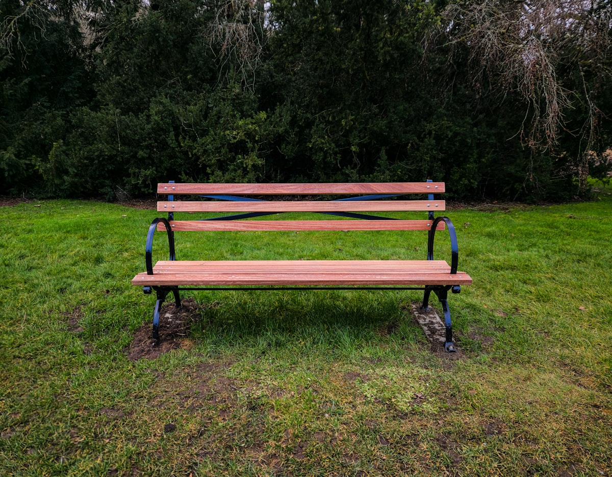A single empty wooden park bench on a patch of grass framed by evergreen trees, no identifiable person and no readable brand name or logo, for the piece on friendships that end in silence rather than a conversation