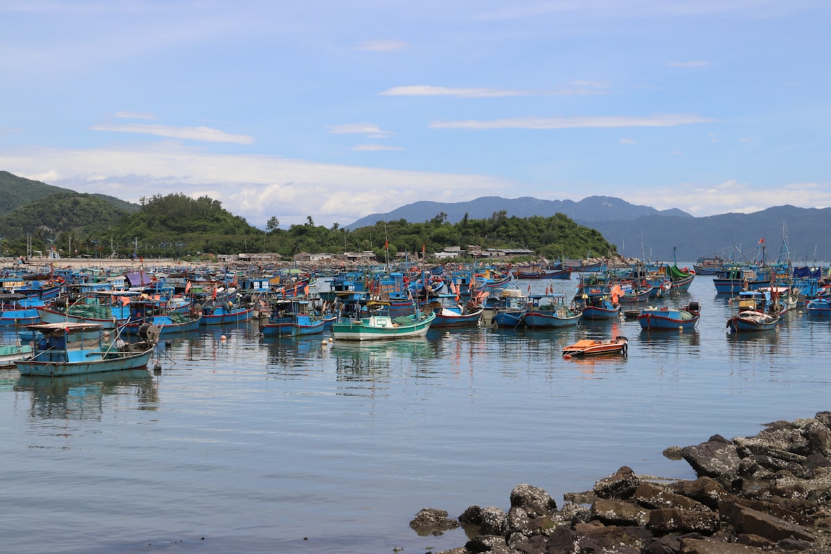 Fishing boats moored in a calm Vietnamese bay near shore, no identifiable people, for the quieter-coast angle of the e-visa piece