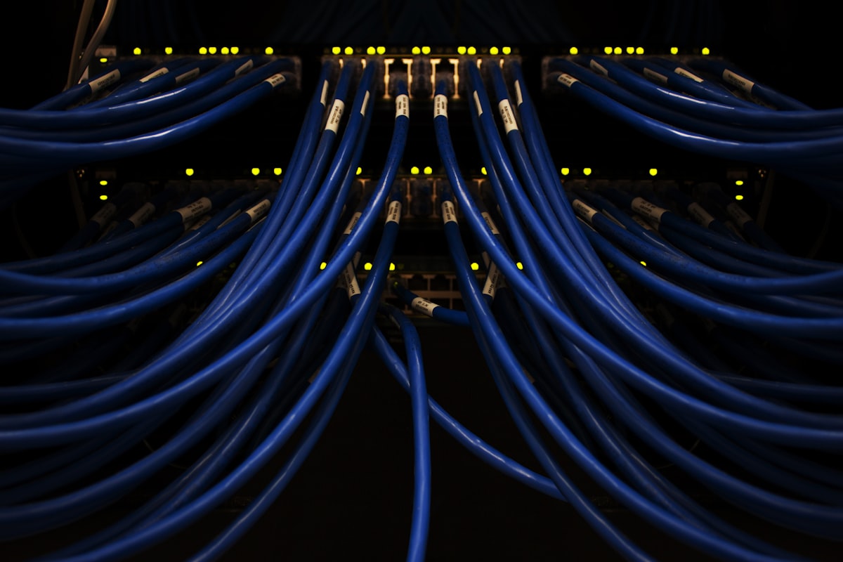 Bundles of blue network patch cables plugged into a switch with lit ports in a dark rack, no identifiable people and no readable brands or logos, for the piece on where European software hosts
